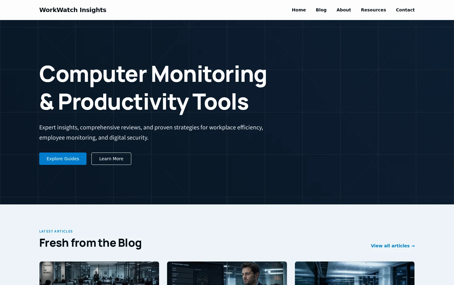 WorkWatch Insights 页面快照